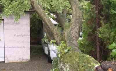 Feuerwehreinsätze und Überflutungen: Unwetter trifft Pinneberg und Rellingen: Umgestürzter Baum auf Wohnmobil und Wohnhaus - Wasser in Keller